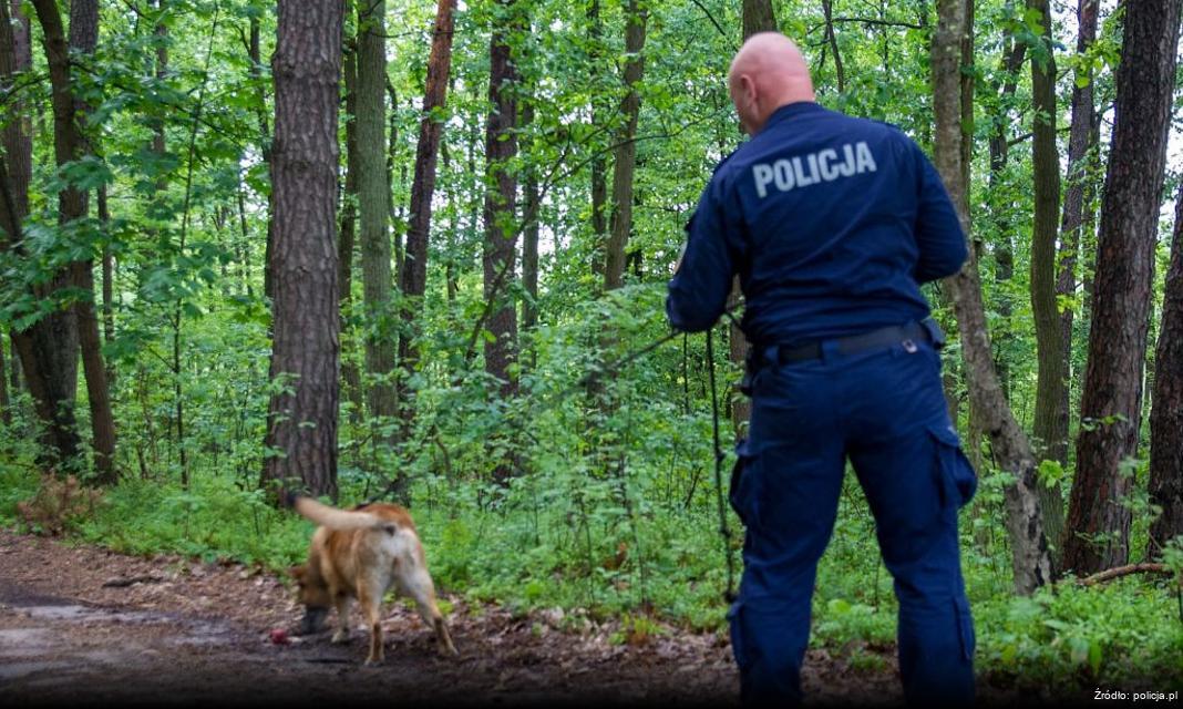 Poważna kolizja w Karczewie – nietrzeźwy kierowca zatrzymany